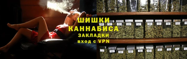 ГАЛЛЮЦИНОГЕННЫЕ ГРИБЫ Арсеньев