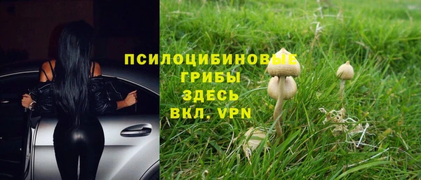 гашишное масло Аркадак