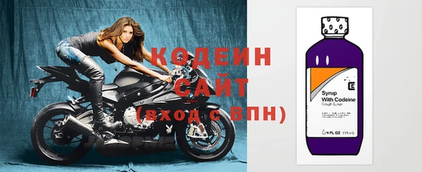 крисы Няндома