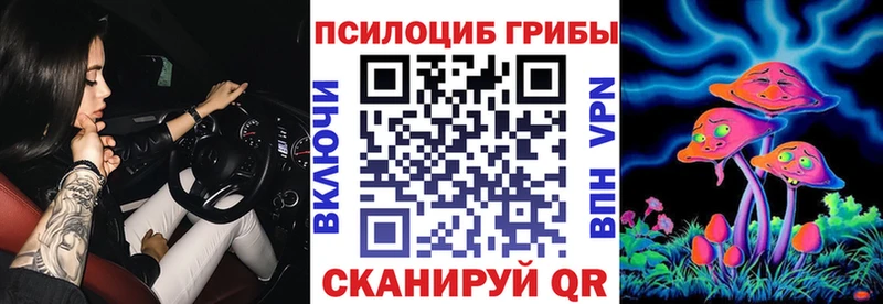 Псилоцибиновые грибы Psilocybe  Сорск 